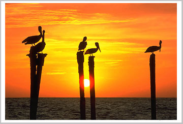 print large photo
